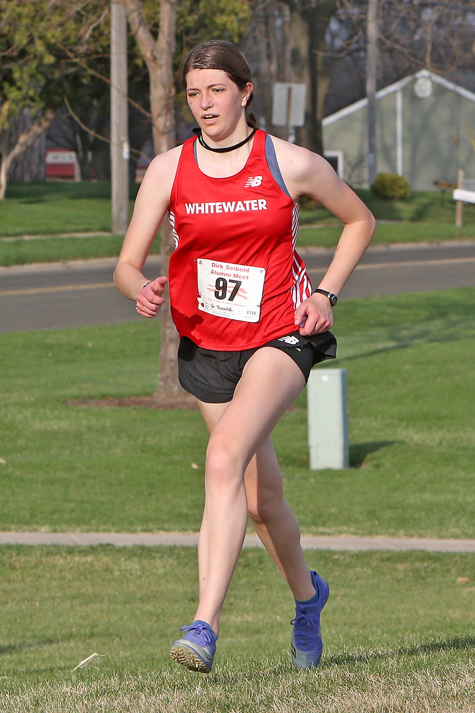 Whippet CC Races in Brodhead - Whitewater Banner