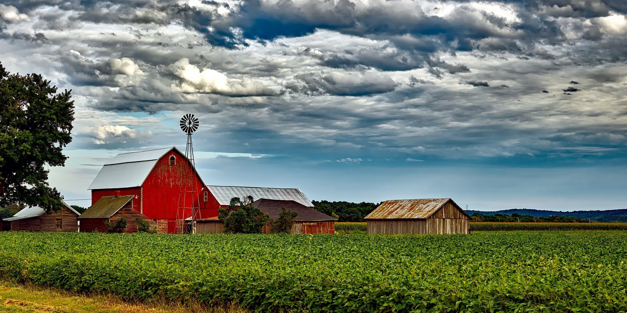 12019-wisconsin-1809870 (1)