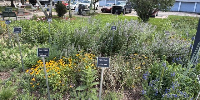 FPG_garden shot_9-5-26