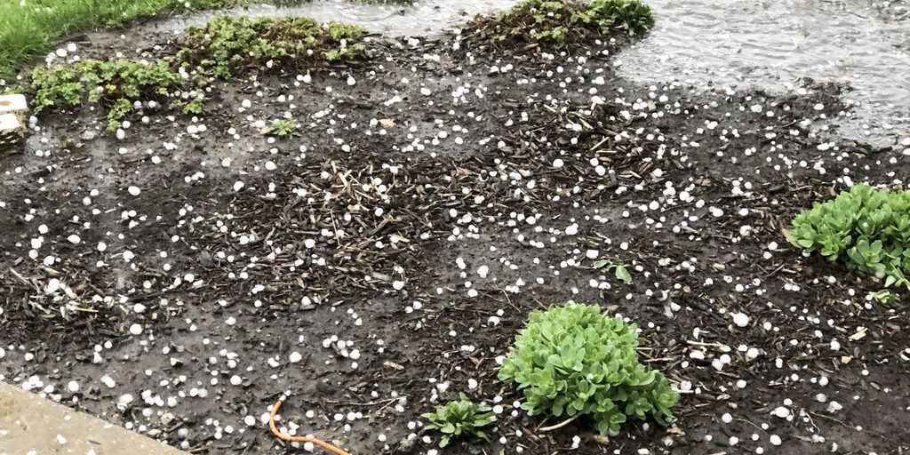 Hail in Prairie Village 4-18-25 7-30 am #107 (L)