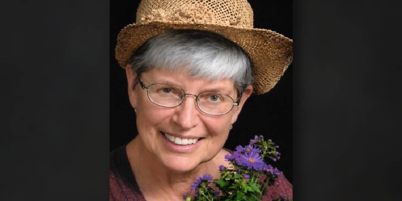 MStetter