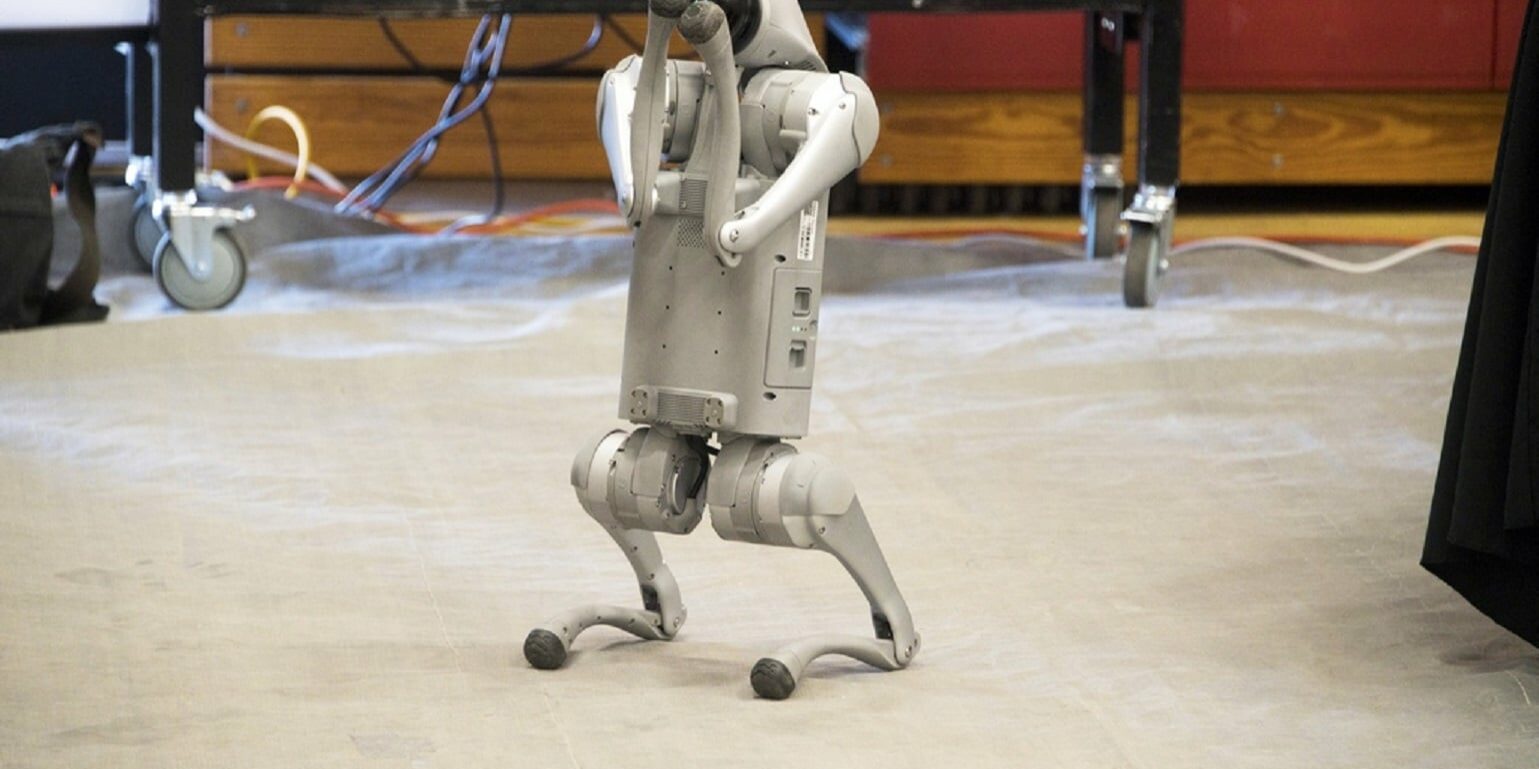 STEAM Faire 5-18-24 #113 - Robot dog (R3)