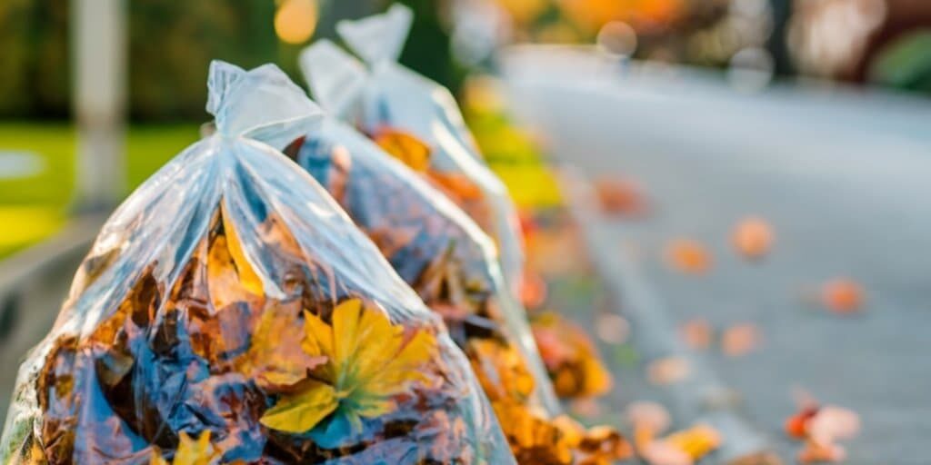 autumn-leaves-bagged