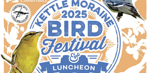 bird festival