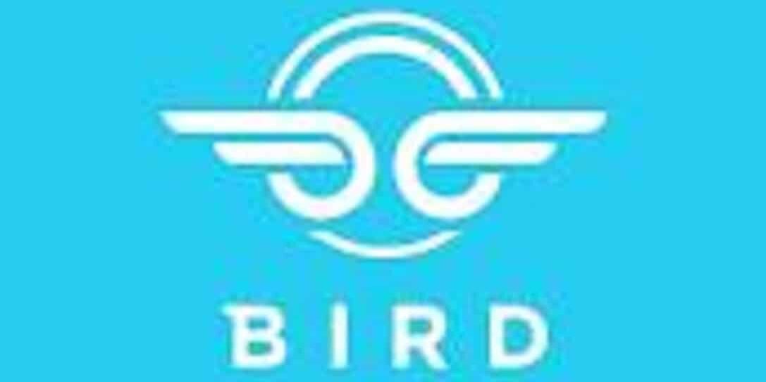 bird scooters logo