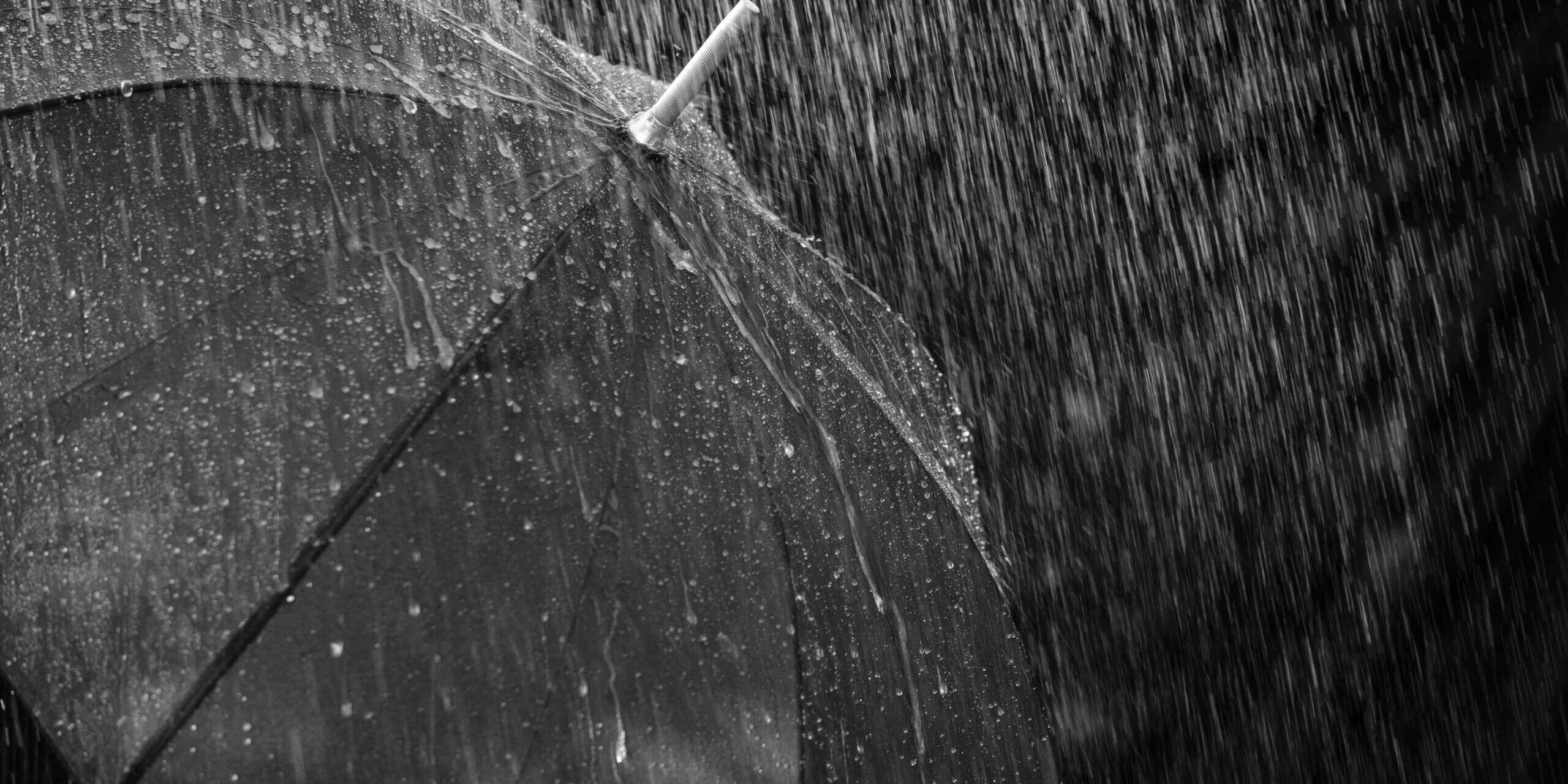 bru-no-rain-3524800
