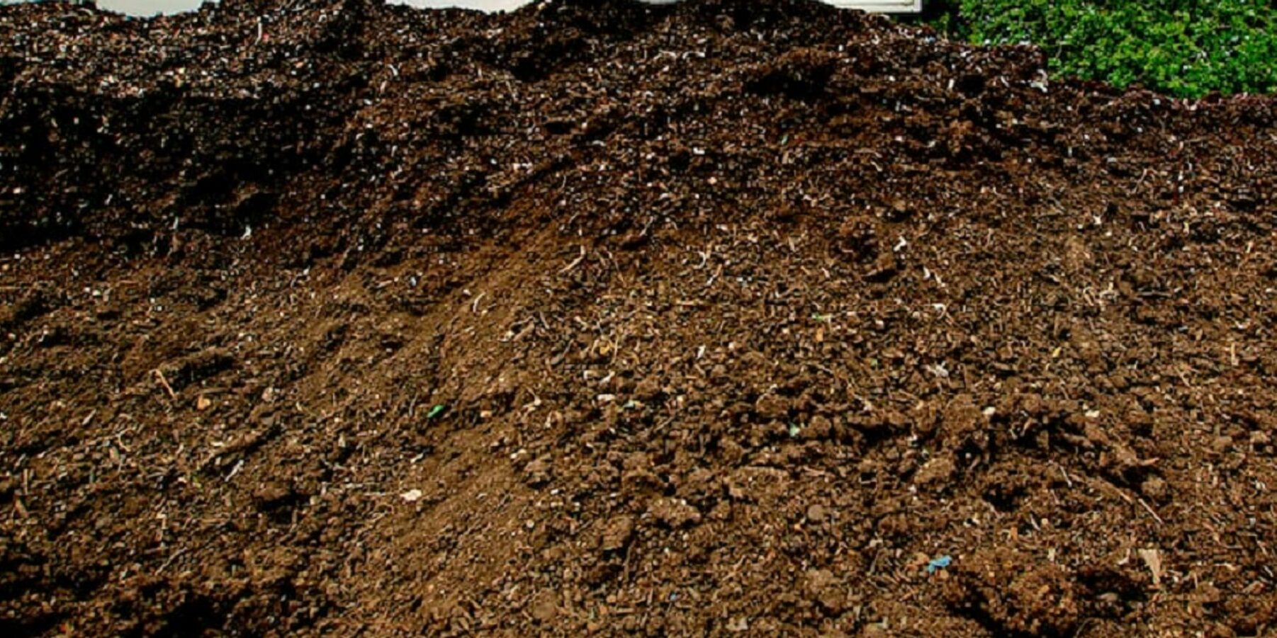 compost-pile