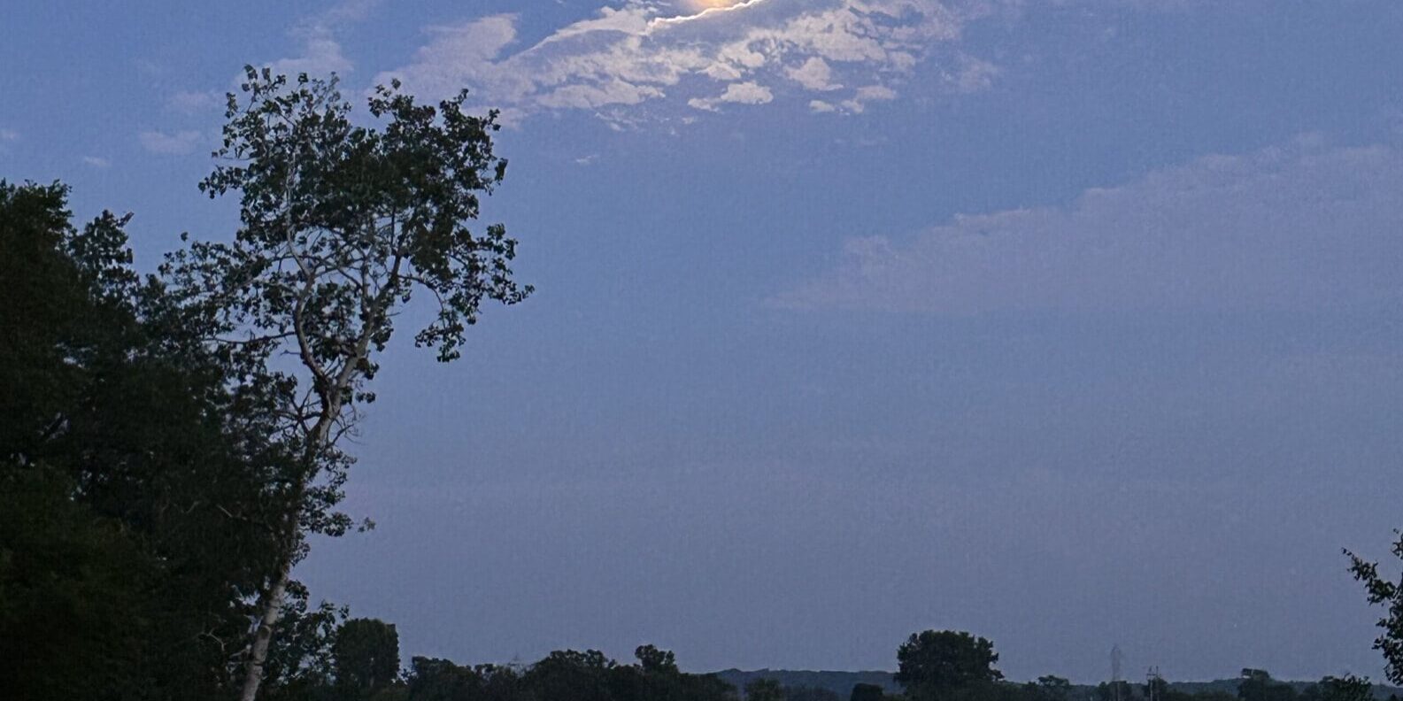 moon crop
