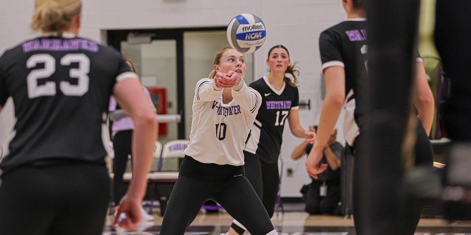 volleyball brain