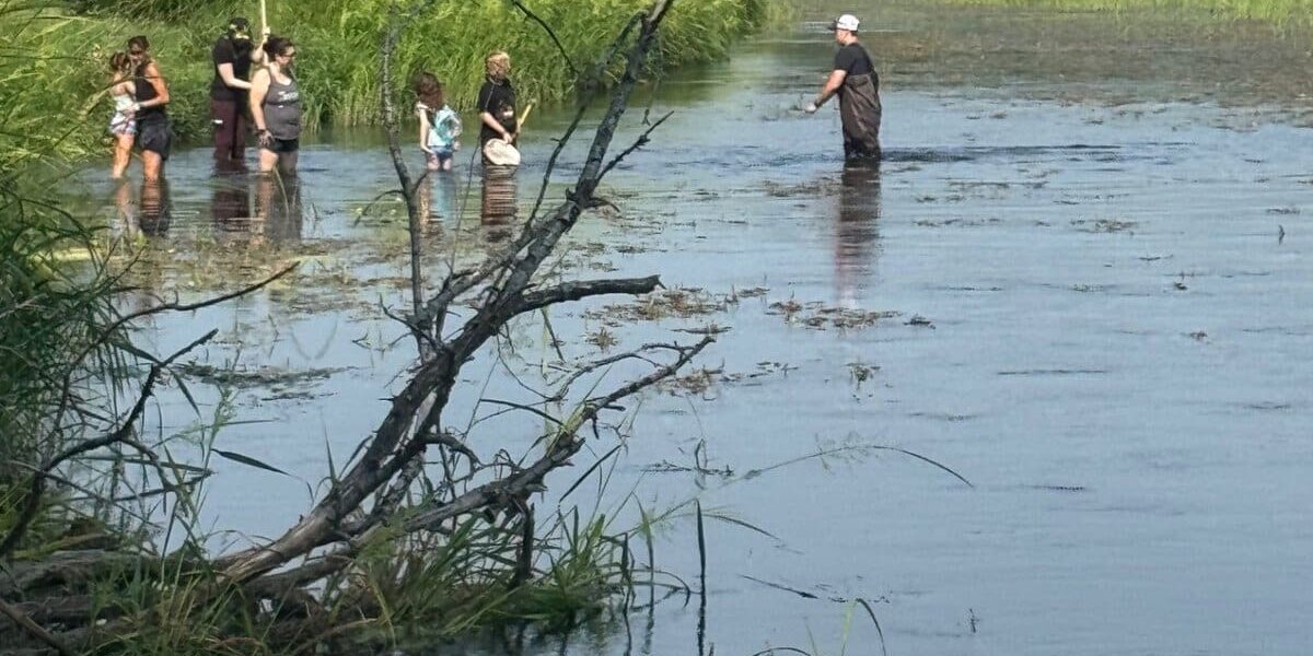 wading in turtle creek tbd